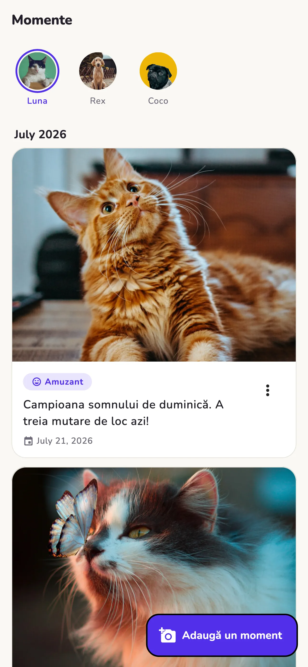 Momente: un jurnal foto al animalelor tale, cu descrieri și date